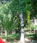 <Фотография до<br>